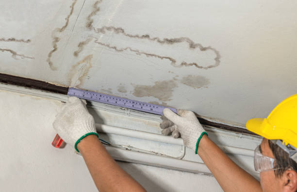 Reliable Basement Water Removal contractor in Eagle, MI by Water Damage Irwin